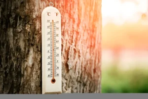 Balance Temperature and Humidity