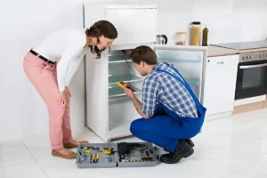 Annual Fridge Maintenance