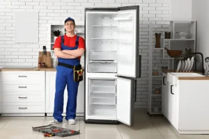 Annual Fridge Maintenance